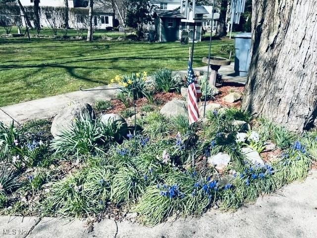 422 Glenwoods Ct, Boardman, OH 44512 - view of grassy yard