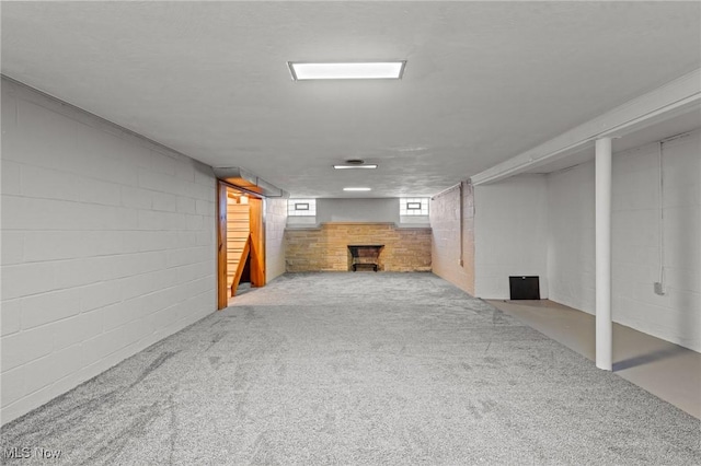 basement with concrete block wall and carpet
