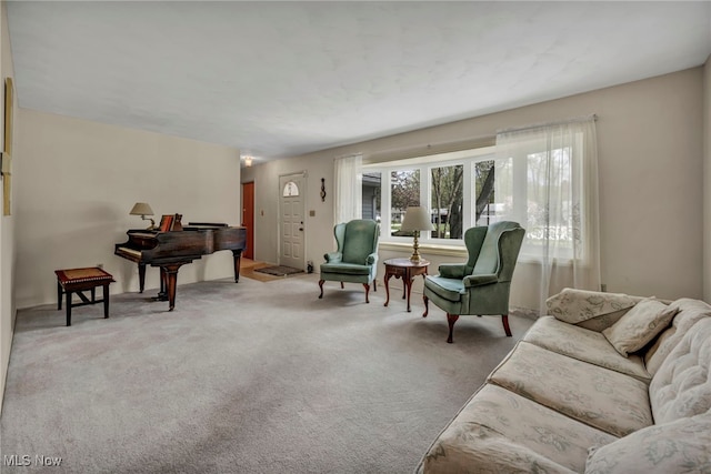 living area with carpet
