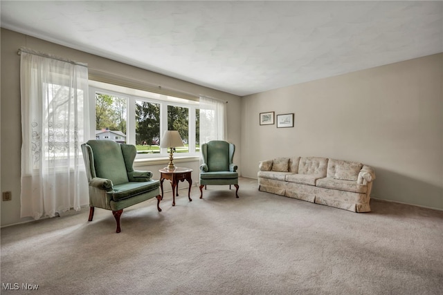 living area with carpet floors