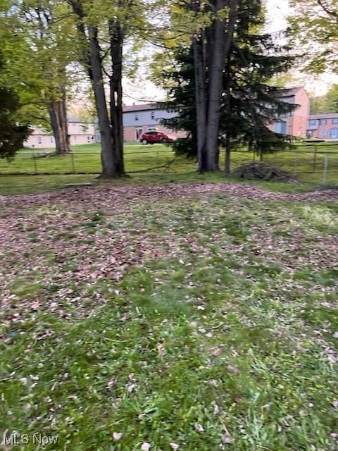 2821 Tod Ave NW, Warren, OH 44484 - view of yard