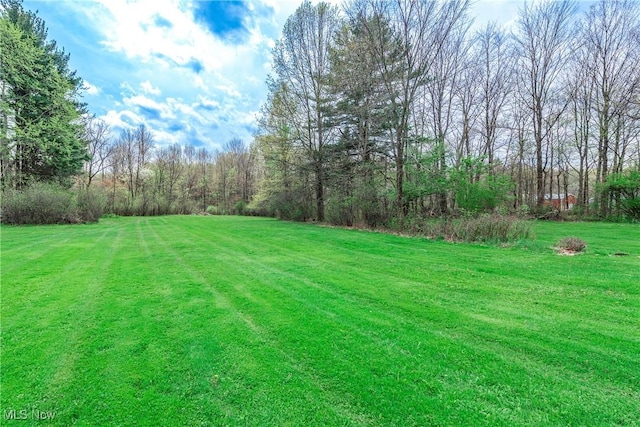view of yard