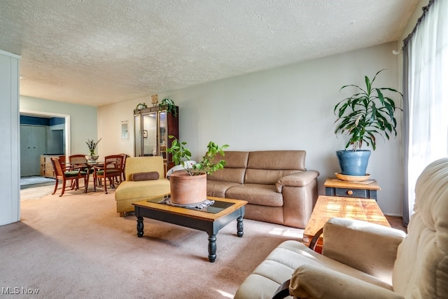 living area with carpet floors, a textured ceiling, and a wealth of natural light