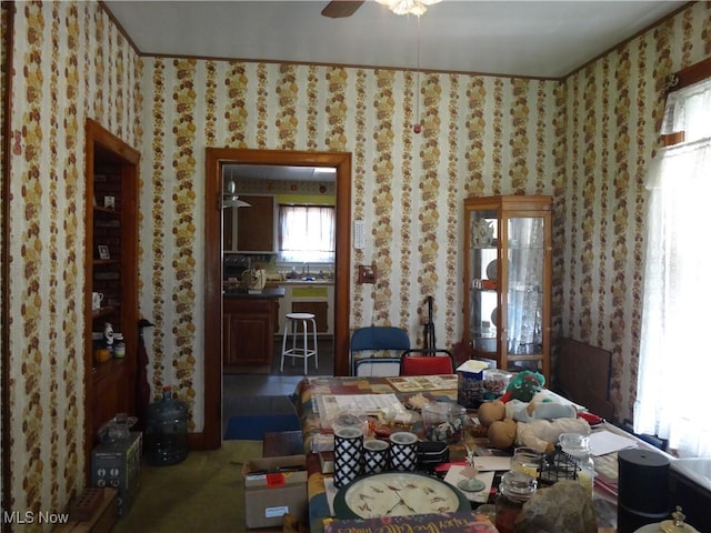 46399 Walnut St, Rogers, OH 44455 - photo 14
