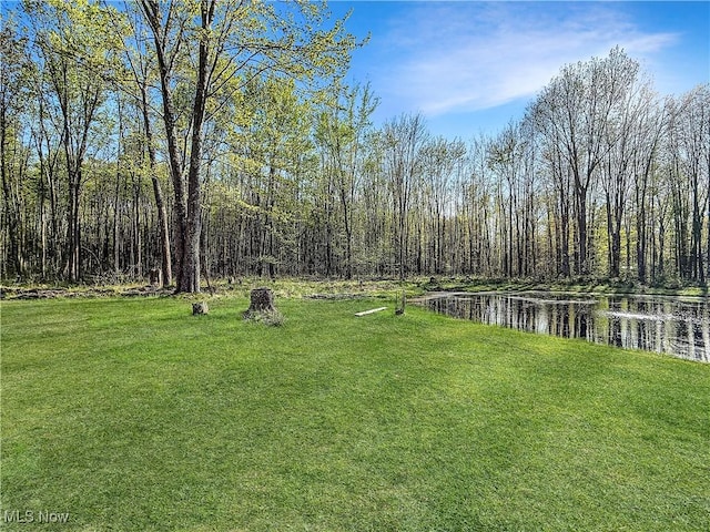 view of yard with a water view and a forest view