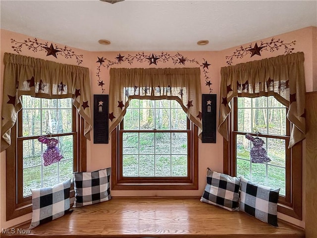 doorway featuring plenty of natural light and wood finished floors
