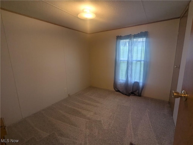 empty room with carpet and a textured ceiling