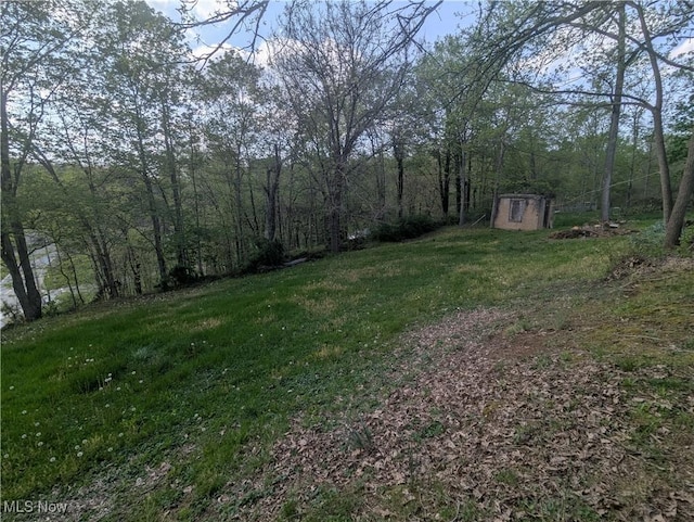 view of yard featuring an outbuilding, a storage shed, and a forest view