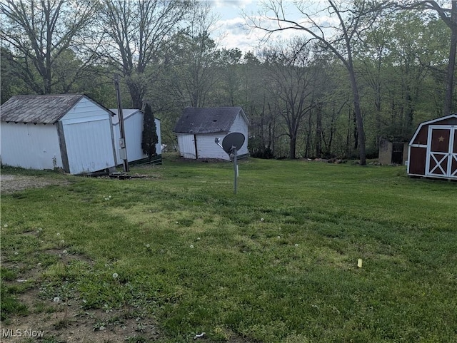 view of yard featuring a storage unit and an outbuilding