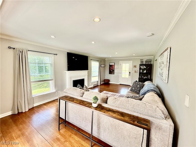 living area with baseboards, ornamental molding, wood finished floors, and a healthy amount of sunlight