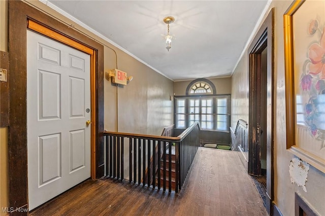 entryway with crown molding and wood finished floors