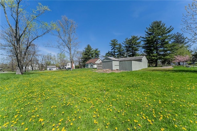 view of yard featuring an outdoor structure