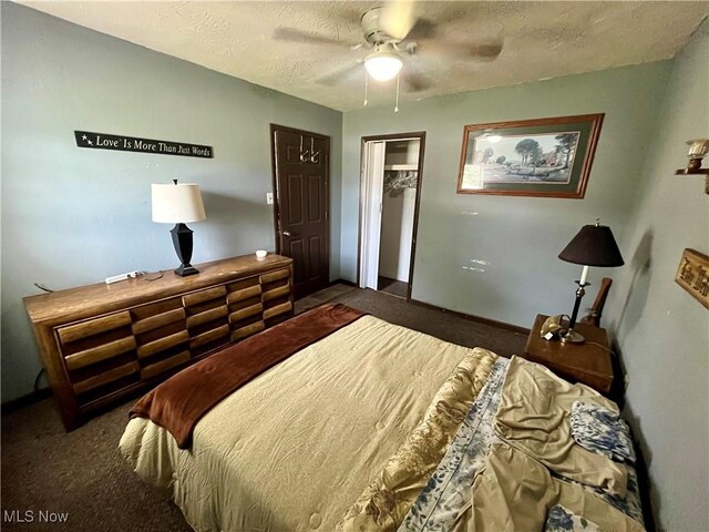 621 Grant St Rear, Rear, Mcmechen, WV 26040 - bedroom with carpet floors, a textured ceiling, ceiling fan, and a closet