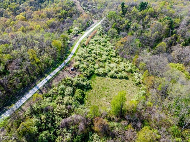 Harrons Ridge Rd, Dexter City, OH 45727 - photo 29