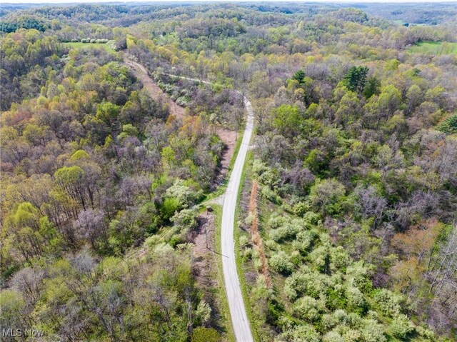 Harrons Ridge Rd, Dexter City, OH 45727 - photo 34