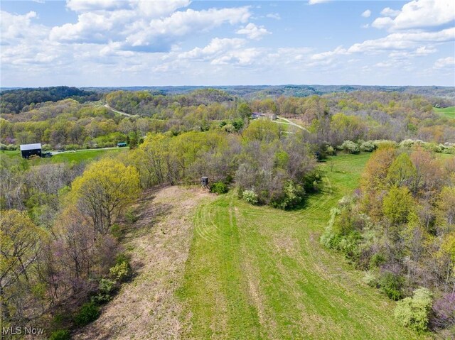 Harrons Ridge Rd, Dexter City, OH 45727 - photo 36