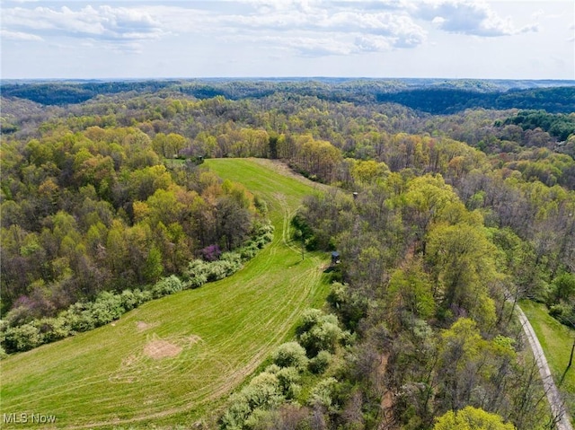 Harrons Ridge Rd, Dexter City, OH 45727 - photo 1