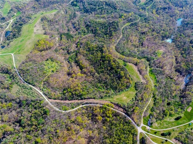 Harrons Ridge Rd, Dexter City, OH 45727 - photo 38