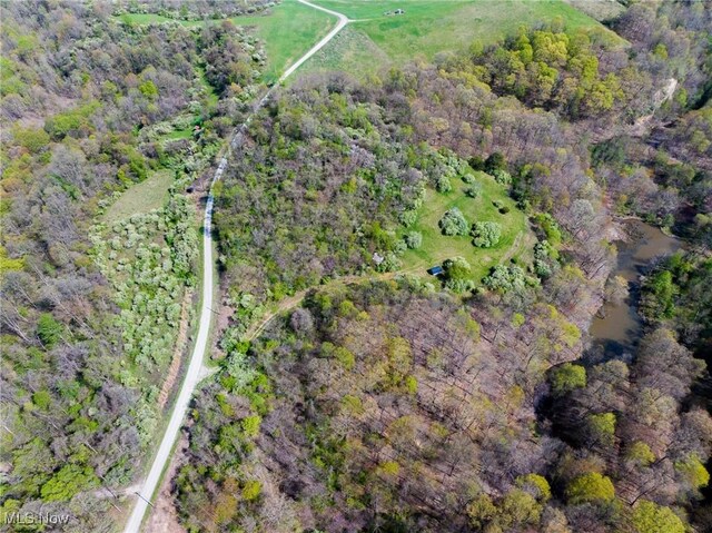 Harrons Ridge Rd, Dexter City, OH 45727 - photo 39