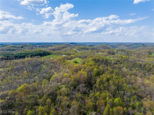 Harrons Ridge Rd, Dexter City, OH 45727 - photo 40