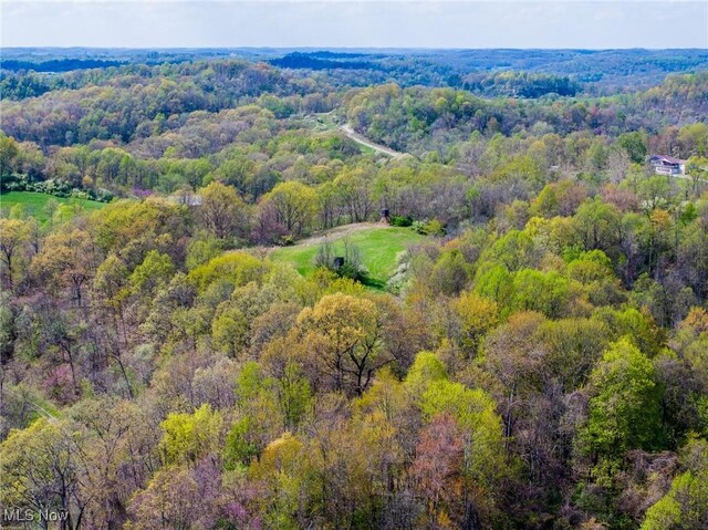 Harrons Ridge Rd, Dexter City, OH 45727 - photo 41