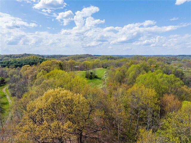 Harrons Ridge Rd, Dexter City, OH 45727 - photo 42