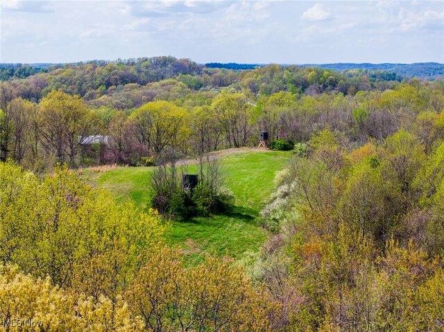 Harrons Ridge Rd, Dexter City, OH 45727 - photo 25