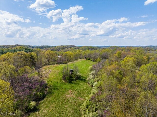Harrons Ridge Rd, Dexter City, OH 45727 - photo 16