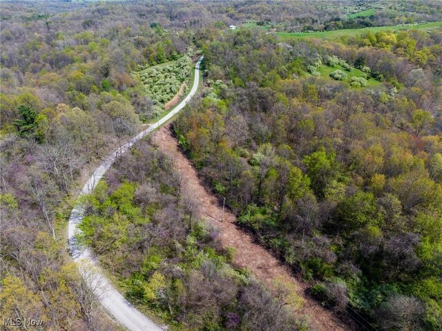 Harrons Ridge Rd, Dexter City, OH 45727 - photo 43