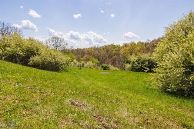 Harrons Ridge Rd, Dexter City, OH 45727 - photo 44