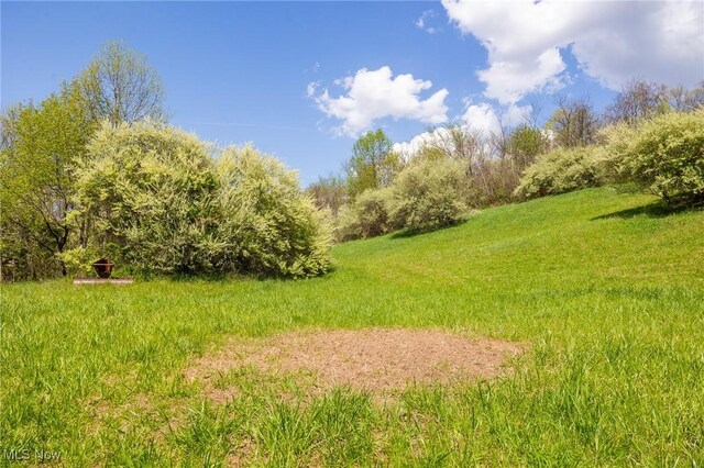Harrons Ridge Rd, Dexter City, OH 45727 - photo 45