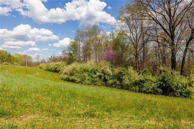 Harrons Ridge Rd, Dexter City, OH 45727 - photo 26