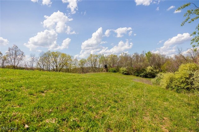 Harrons Ridge Rd, Dexter City, OH 45727 - photo 18