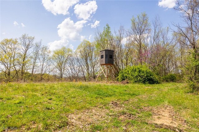 Harrons Ridge Rd, Dexter City, OH 45727 - photo 19