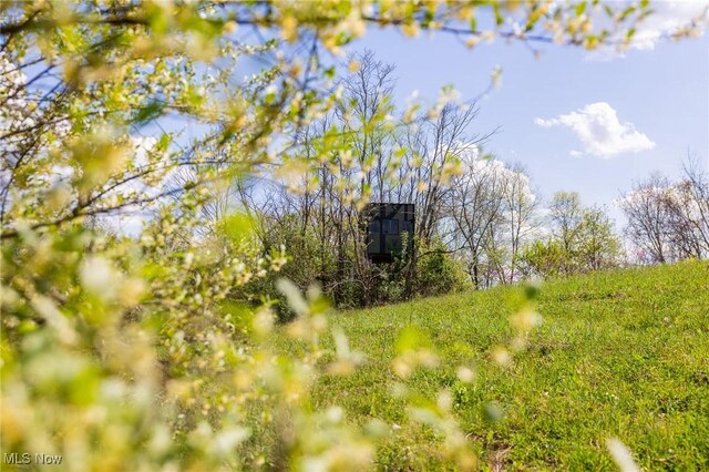 Harrons Ridge Rd, Dexter City, OH 45727 - photo 22