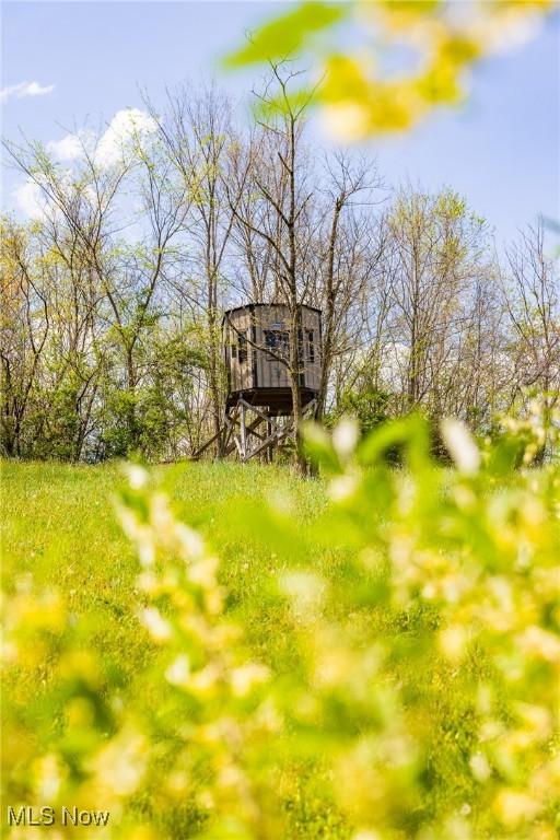 Harrons Ridge Rd, Dexter City, OH 45727 - photo 10