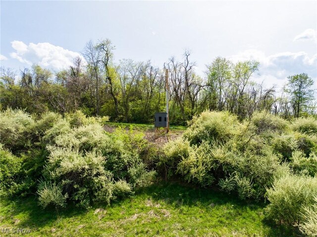 Harrons Ridge Rd, Dexter City, OH 45727 - photo 30