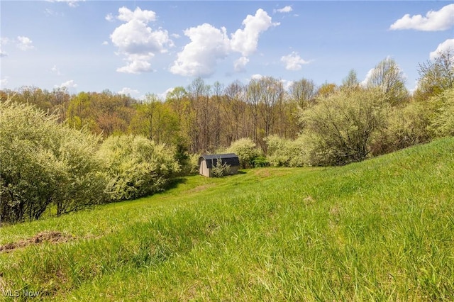 Harrons Ridge Rd, Dexter City, OH 45727 - photo 3