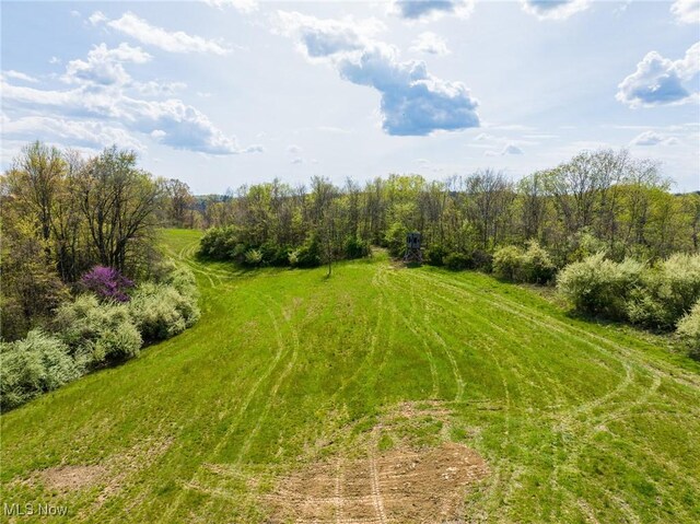 Harrons Ridge Rd, Dexter City, OH 45727 - photo 17