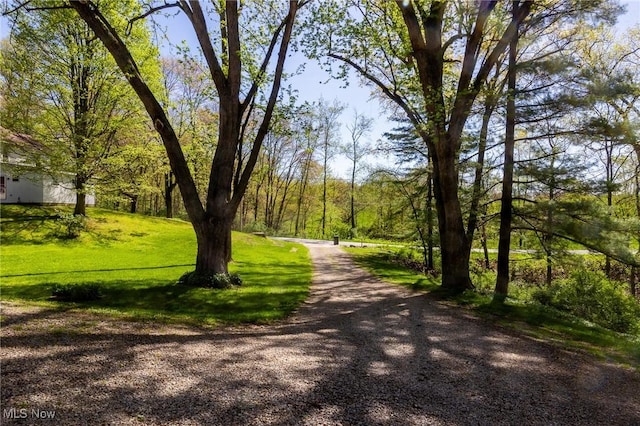 view of home's community with a yard