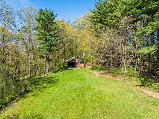 view of yard featuring a view of trees, an outbuilding, and a carport