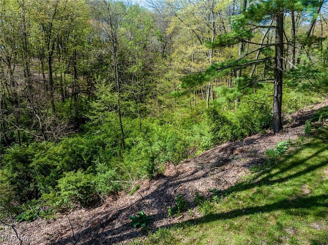 view of nature with a view of trees