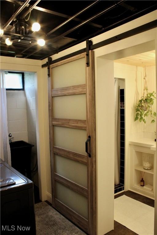 basement featuring a barn door
