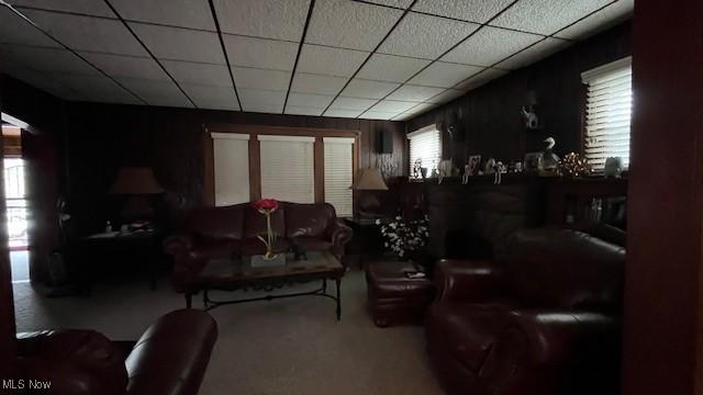 living area with carpet flooring, a paneled ceiling, and a wealth of natural light