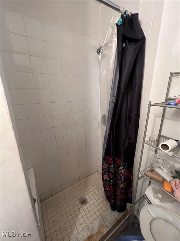 full bathroom featuring a shower stall and toilet