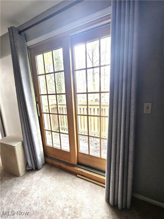 entryway featuring carpet floors and a healthy amount of sunlight