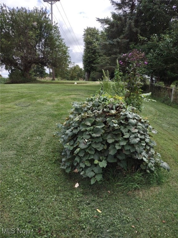 view of yard