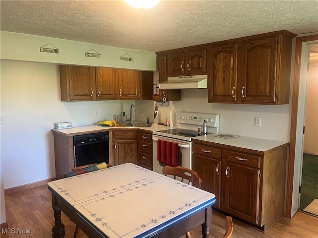 kitchen with white electric range oven, a sink, light wood-style flooring, and dishwasher