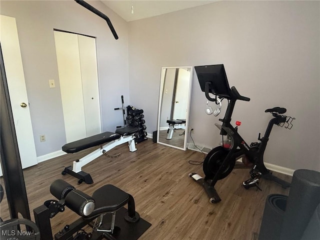 1173 Red Tail Hawk Ct Unit 4, Youngstown, OH 44512 - exercise room featuring baseboards and wood finished floors