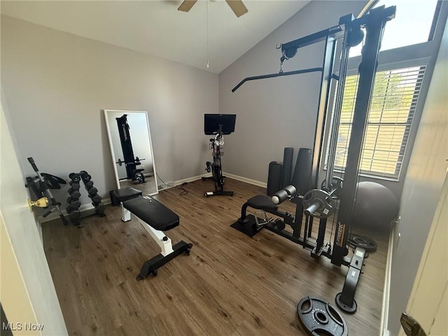1173 Red Tail Hawk Ct Unit 4, Youngstown, OH 44512 - workout area with baseboards, a ceiling fan, wood finished floors, and high vaulted ceiling